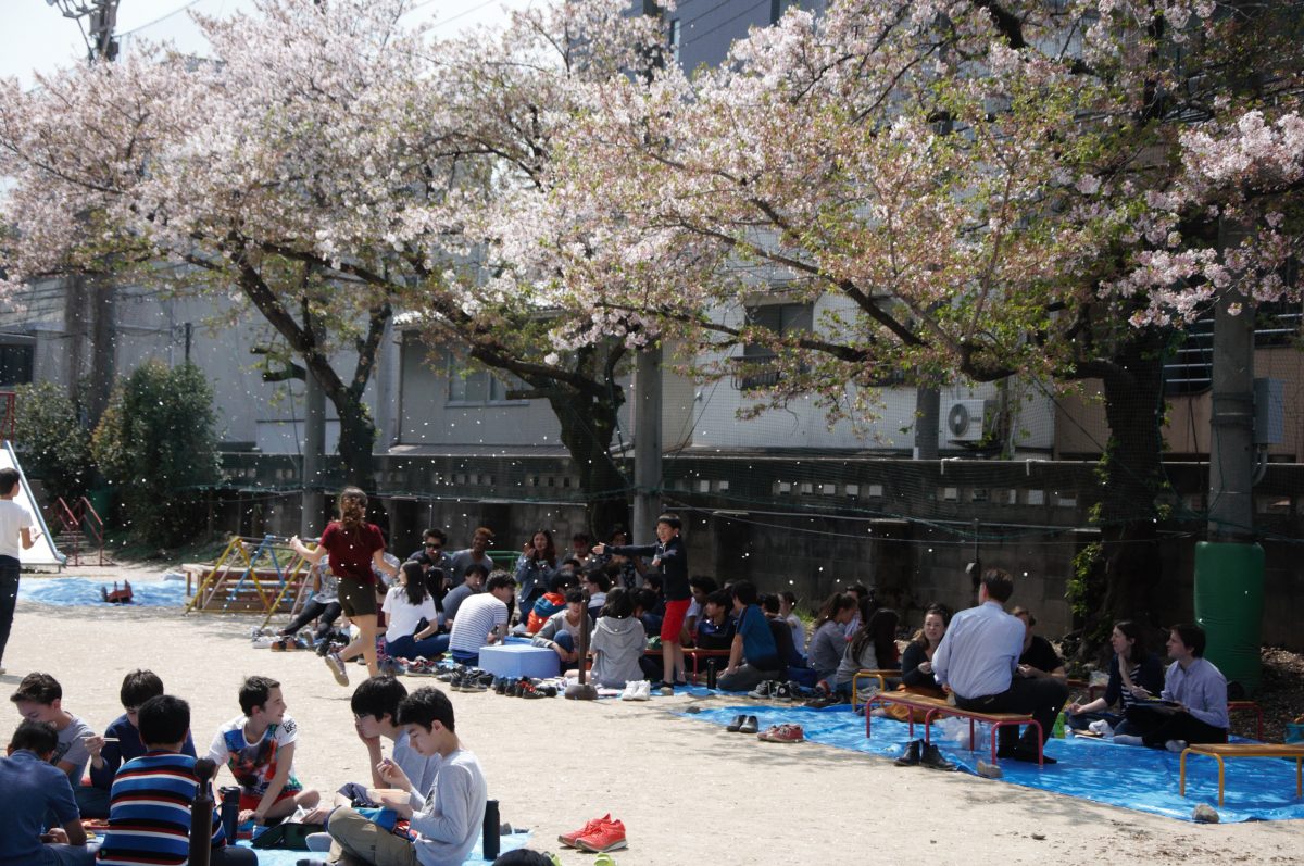 Hanami au LFIK Lycée Français International de Kyoto